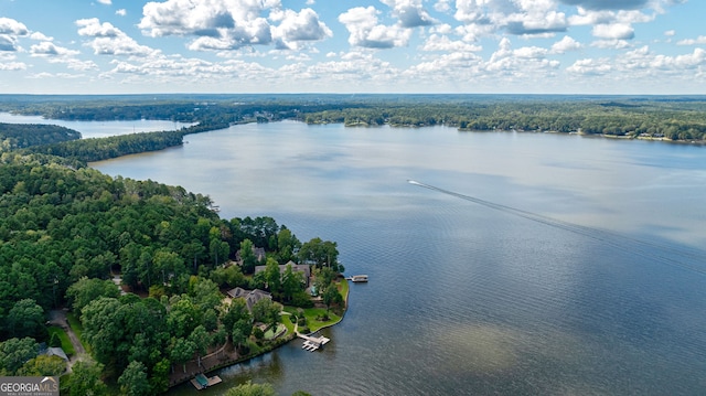 drone / aerial view featuring a forest view and a water view