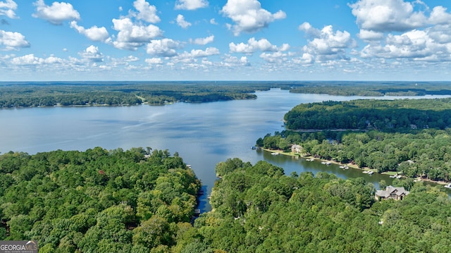 drone / aerial view featuring a water view and a wooded view