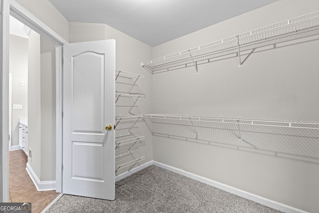 walk in closet featuring carpet flooring