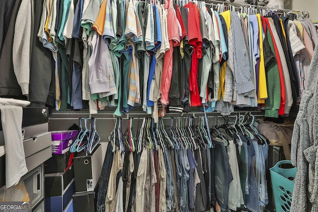 view of walk in closet