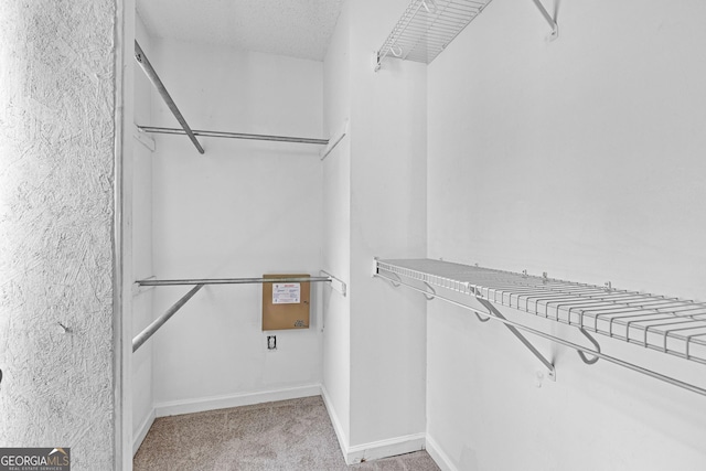 walk in closet featuring carpet flooring