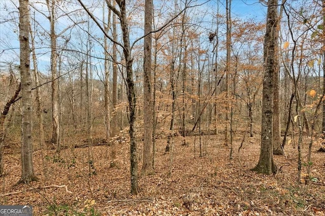 view of landscape featuring a forest view