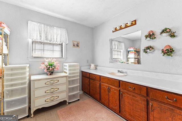 bathroom featuring plenty of natural light and vanity