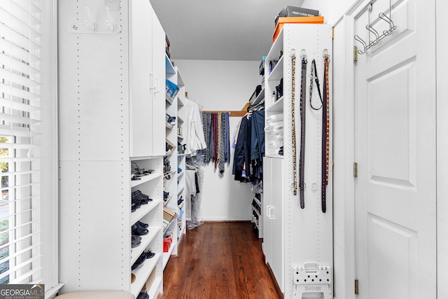 walk in closet with dark wood-type flooring