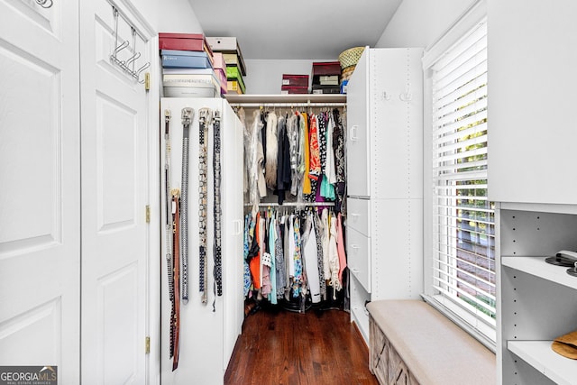 walk in closet with wood finished floors