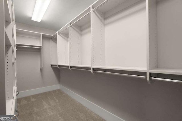 spacious closet featuring carpet flooring