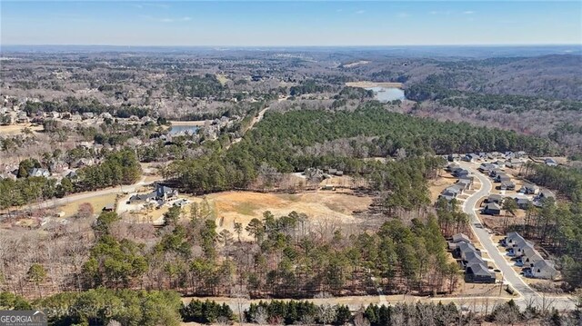 3630 Jim Moore Rd, Dacula, GA 30019 - drone / aerial view