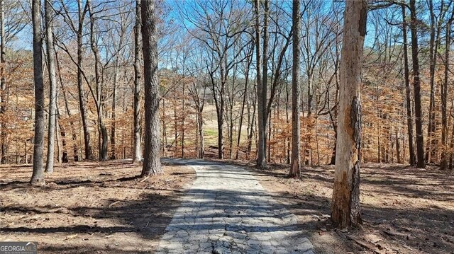 3630 Jim Moore Rd, Dacula, GA 30019 - view of road featuring driveway