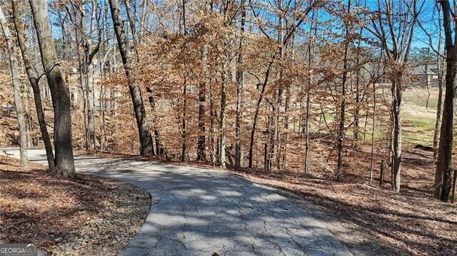 3630 Jim Moore Rd, Dacula, GA 30019 - view of road with a view of trees