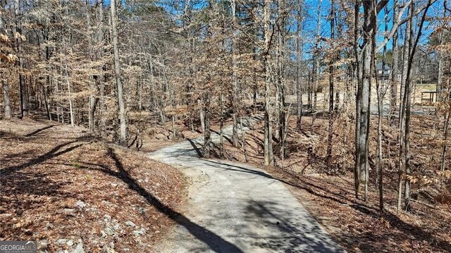 3630 Jim Moore Rd, Dacula, GA 30019 - view of street featuring a view of trees