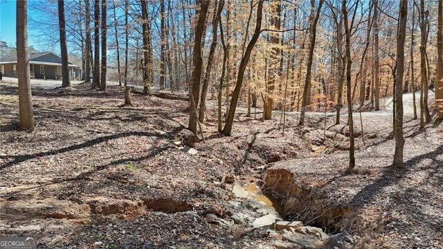 3630 Jim Moore Rd, Dacula, GA 30019 - view of road