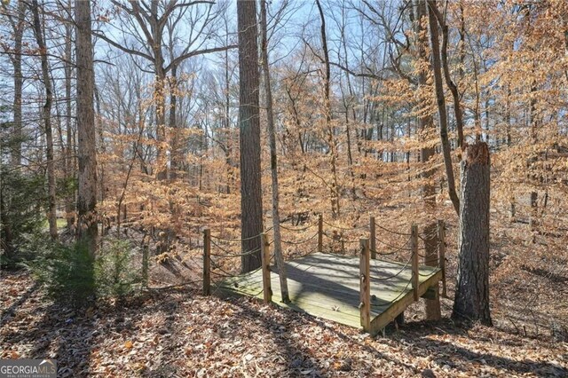 3630 Jim Moore Rd, Dacula, GA 30019 - exterior space featuring a forest view
