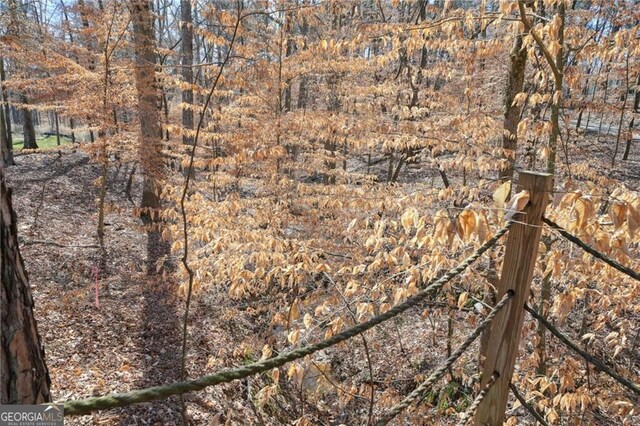 3630 Jim Moore Rd, Dacula, GA 30019 - view of landscape featuring a wooded view