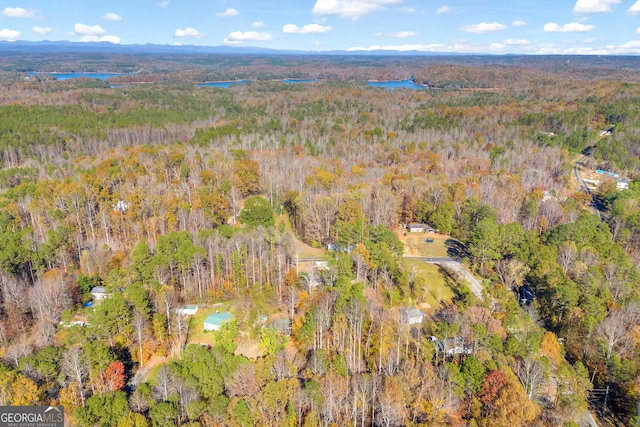 drone / aerial view featuring a water view and a wooded view