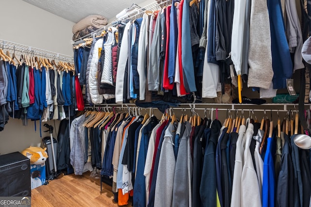 walk in closet featuring wood finished floors