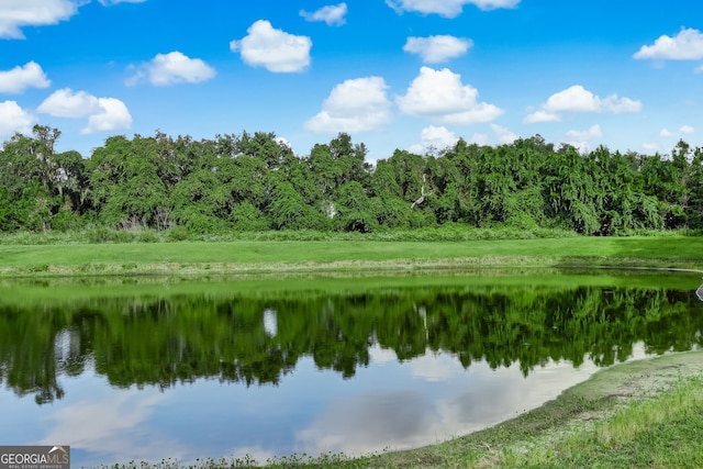 water view featuring a view of trees