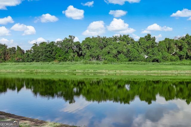 view of water feature featuring a forest view