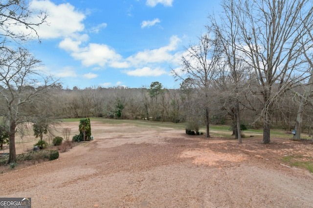 view of yard with a forest view