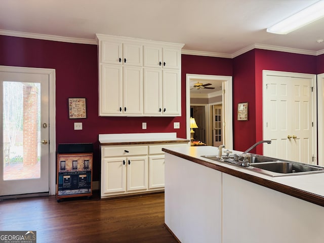 kitchen featuring dark wood-style floors, ornamental molding, a sink, and white cabinetry