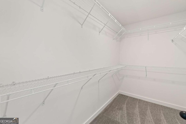 walk in closet with carpet floors