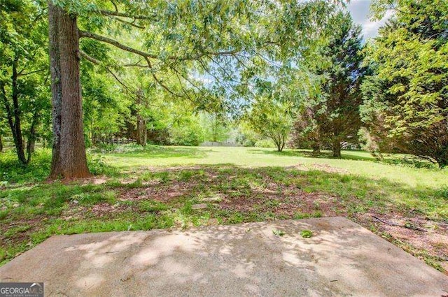 view of yard featuring a patio