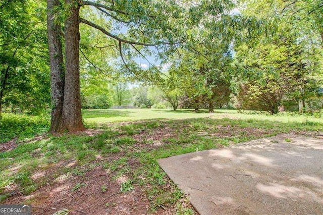 view of yard featuring a patio area