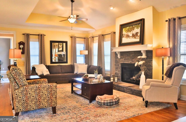 living room featuring a tray ceiling, a stone fireplace, wood finished floors, and a healthy amount of sunlight