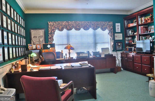 office area featuring ornamental molding, carpet, and a wainscoted wall