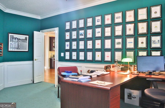 home office featuring a wainscoted wall, carpet flooring, and crown molding