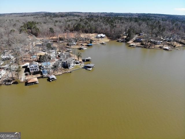 bird's eye view with a water view and a wooded view