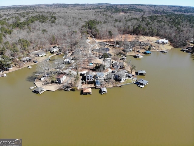 drone / aerial view with a water view and a wooded view