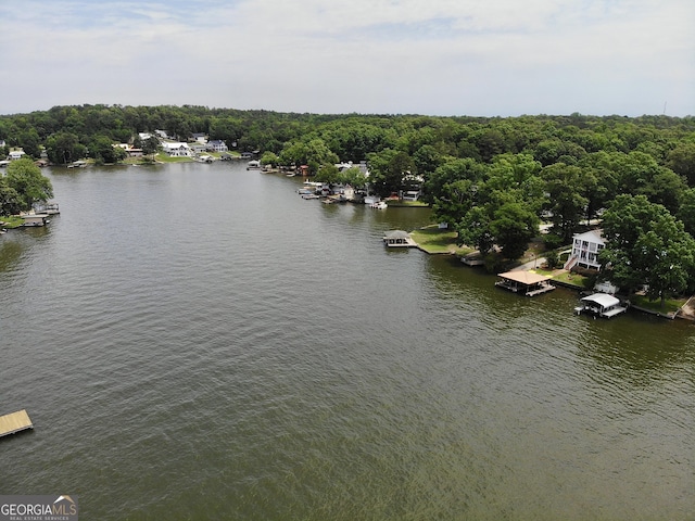 375 Templeton Cir, Mansfield, GA 30055 - bird's eye view of a nearby body of water and a heavily wooded area