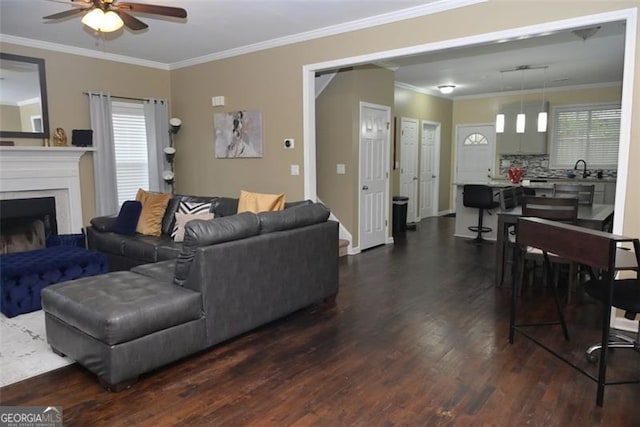 living area featuring dark wood-style flooring, a fireplace, and crown molding