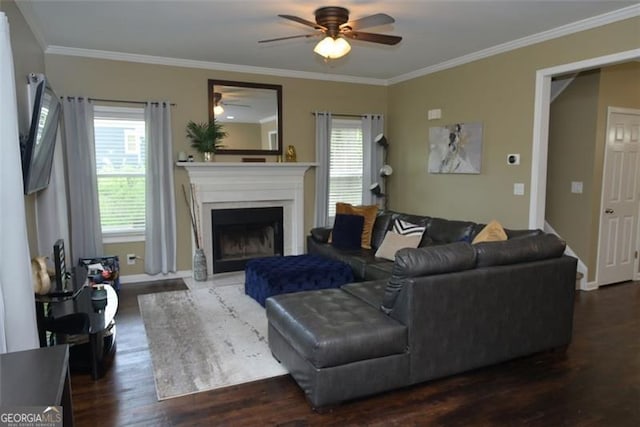 living area featuring a fireplace, ornamental molding, and wood finished floors