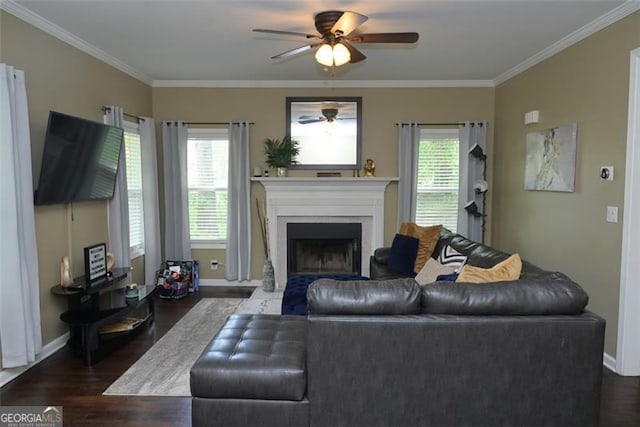 living room featuring dark wood-style floors, plenty of natural light, a fireplace, and crown molding