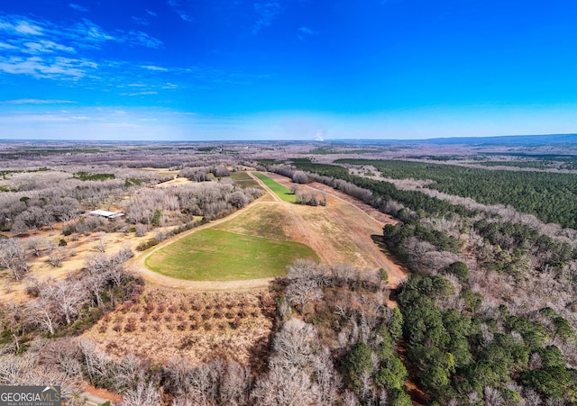 229 Trammel Rd, Pine Mountain GA, 31822 land for sale