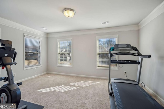 exercise room featuring carpet floors, crown molding, and a wealth of natural light