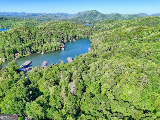 185 Pope Dickson Ln, Clarkesville, GA 30523 - aerial view of property's location with a forest and a water and mountain view
