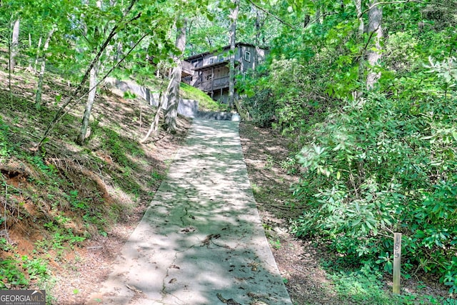 185 Pope Dickson Ln, Clarkesville, GA 30523 - view of property's community