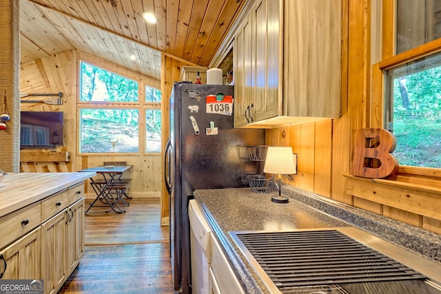 185 Pope Dickson Ln, Clarkesville, GA 30523 - kitchen with wooden ceiling, plenty of natural light, wooden walls, dark wood-type flooring, and lofted ceiling