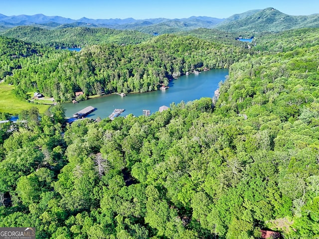 185 Pope Dickson Ln, Clarkesville, GA 30523 - view of property location featuring a forest and a water and mountain view