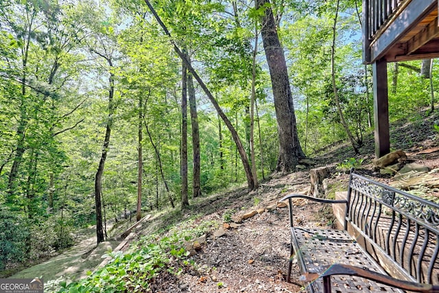 185 Pope Dickson Ln, Clarkesville, GA 30523 - view of yard