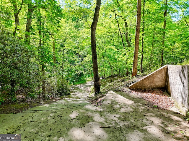 185 Pope Dickson Ln, Clarkesville, GA 30523 - view of yard with a view of trees