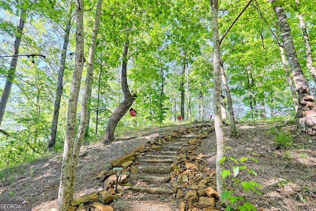 185 Pope Dickson Ln, Clarkesville, GA 30523 - view of yard
