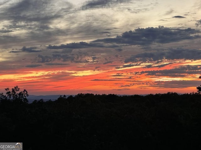 1172 Hunter Dr, Ranger, GA 30734 - view of nature at dusk