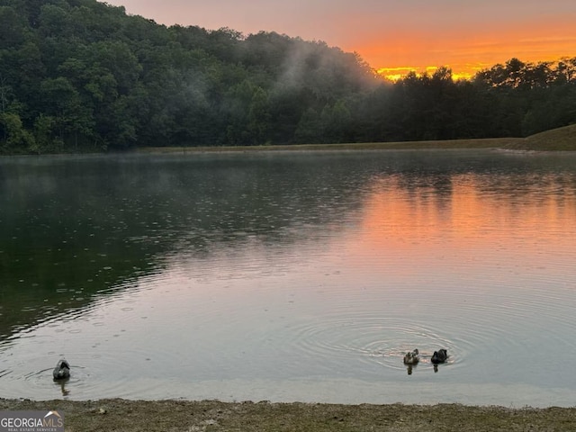 1172 Hunter Dr, Ranger, GA 30734 - water view with a heavily wooded area