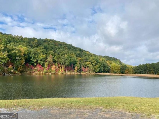 1172 Hunter Dr, Ranger, GA 30734 - water view featuring a heavily wooded area