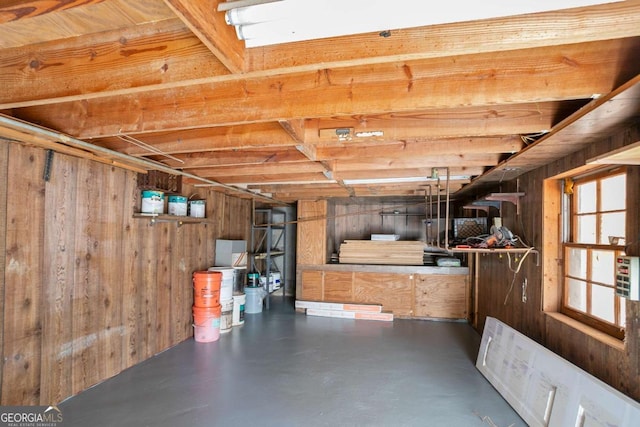 basement with wooden walls