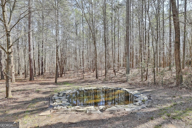 view of yard featuring a view of trees