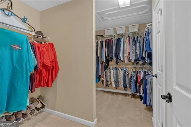 walk in closet with carpet floors